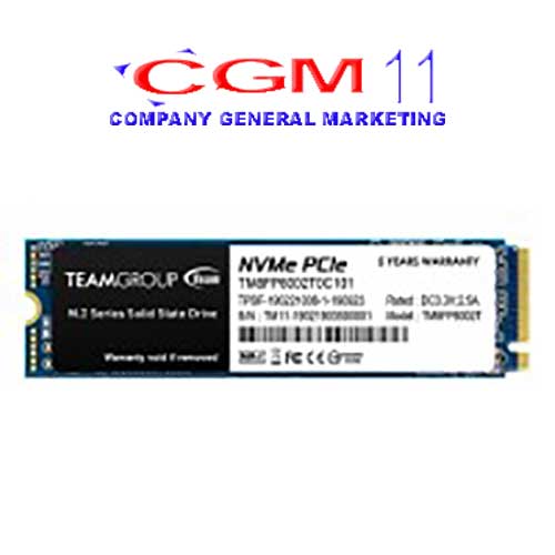TeamGroup MP34 M.2 PCI-e Gen3.0 x4 with NVMe 2TB