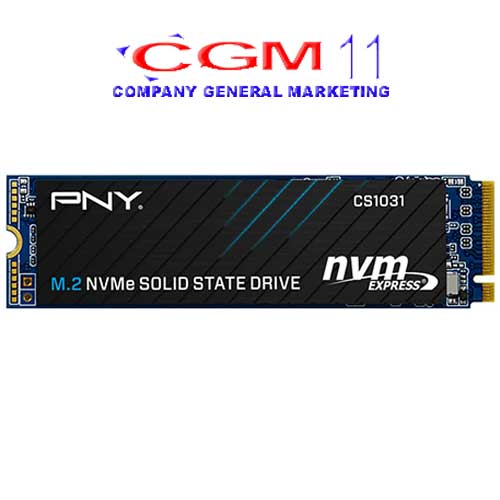 PNY SSD NVME CS1031 - 256 GB