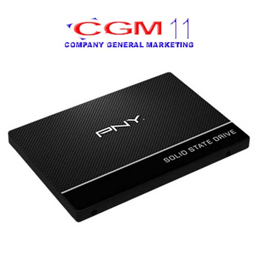 PNY SSD Sata III CS900 - 120 GB