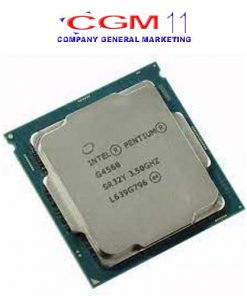 Processor G4560