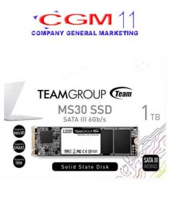 TEAM MS30 M.2 Sata-2280 1TB