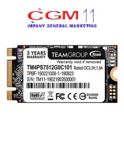 Team SSD M.2 2242 MS30 TM4PS7128G0C101 128GB