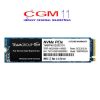 Team SSD M.2 2280 MP34 TM8FP4001T0C101 1TB