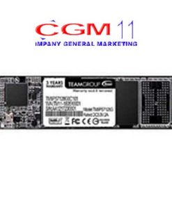 Team SSD M.2 2280 MS30 TM8S7002T0C101 2TB