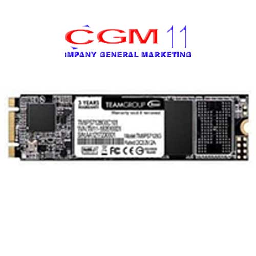 Team SSD M.2 2280 MS30 TM8S7002T0C101 2TB