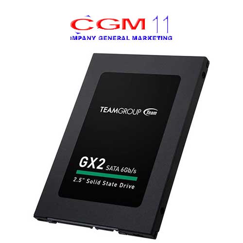 Team SSD TLC T253X2256G0C101 (GX2) (SandForce), 2.5" SSD SATAIII 256GB 7MM